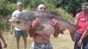 Interesante :) - ibmagesjpegl.jpeg